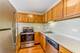 100 Forest Unit 902, Oak Park, IL 60301