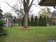 341 W Kathleen, Des Plaines, IL 60016