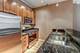 170 W Polk Unit 807, Chicago, IL 60605