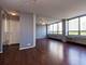 88 W Schiller Unit 405L, Chicago, IL 60610