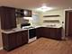 5045 W Henderson Unit G, Chicago, IL 60641