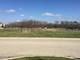 LOT 31 Ferro, New Lenox, IL 60451