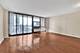 2941 S Michigan Unit 410, Chicago, IL 60616