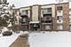 1465 Winslowe Unit 103, Palatine, IL 60074