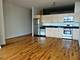 1720 S Michigan Unit 1702, Chicago, IL 60616