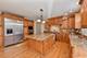 3739 Nicanoa, Naperville, IL 60564