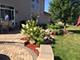 404 Wilton, Oswego, IL 60543