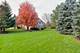 217 Brook Hill, Vernon Hills, IL 60061