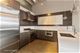 1800 W Grace Unit 517T, Chicago, IL 60613