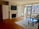 250 E Pearson Unit 1005, Chicago, IL 60611