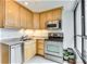 405 N Wabash Unit 406, Chicago, IL 60611