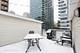 1338 S Wabash Unit D, Chicago, IL 60605