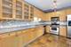 1502 S Prairie Unit M, Chicago, IL 60605