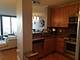 225 N Columbus Unit 6604, Chicago, IL 60601