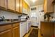 125 Clinton Unit 2W, Oak Park, IL 60302