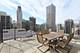 40 E Cedar Unit 3A, Chicago, IL 60611