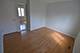 1315 S Plymouth Unit C, Chicago, IL 60605