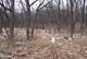 lot 2 Oak Meadow, Homer Glen, IL 60491