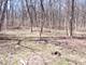 lot 2 Oak Meadow, Homer Glen, IL 60491