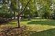 344 Elm Place Vacant Lot, Highland Park, IL 60035