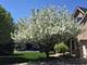 507 Bent Tree, Oswego, IL 60543