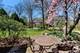 1189 Oakley, Winnetka, IL 60093