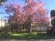 1624 E Cedar, Mount Prospect, IL 60056