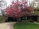 2952 Hickory, Woodridge, IL 60517