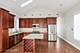 1502 W Chestnut Unit 3, Chicago, IL 60642