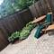 3808 N Alta Vista, Chicago, IL 60613