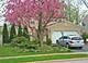463 Glenmore, Roselle, IL 60172