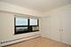 3130 N Lake Shore Unit 2000, Chicago, IL 60657