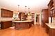 1580 Whistler, Naperville, IL 60564