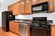 208 W Washington Unit 1004, Chicago, IL 60606