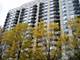 1250 N LaSalle Unit 1213, Chicago, IL 60610