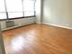 33 E Cedar Unit 15G, Chicago, IL 60611