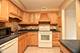 960 S River Unit 503, Des Plaines, IL 60016