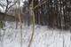 LOT 2 N River, Algonquin, IL 60102