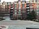 255 E Liberty Unit 203-2, Wheaton, IL 60187