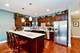 1224 W Hood Unit 1, Chicago, IL 60660