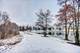 2971 Scott, Lisle, IL 60532