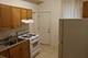 4813 S Prairie Unit 1, Chicago, IL 60615