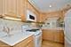 706 N Western Unit B, Park Ridge, IL 60068