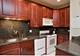 431 S Harvey Unit B, Oak Park, IL 60302