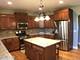 12533 Lily, Plainfield, IL 60585