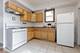 1341 W 19th, Chicago, IL 60608