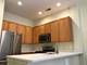 966 N Crosby Unit C, Chicago, IL 60610