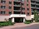 770 Pearson Unit 505, Des Plaines, IL 60016