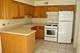 4549 Forest Unit 1S, Brookfield, IL 60513