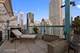 60 W Erie Unit PH, Chicago, IL 60654